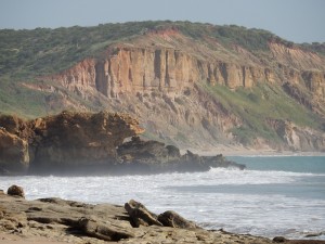 Petite côte senegalaise